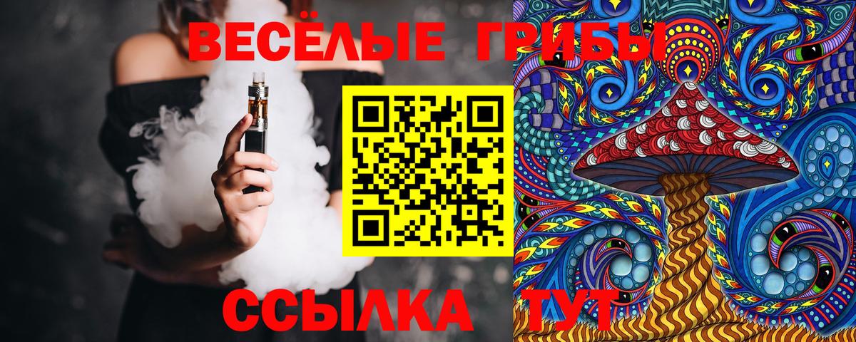 Галлюциногенные грибы Magic Shrooms Заводоуковск