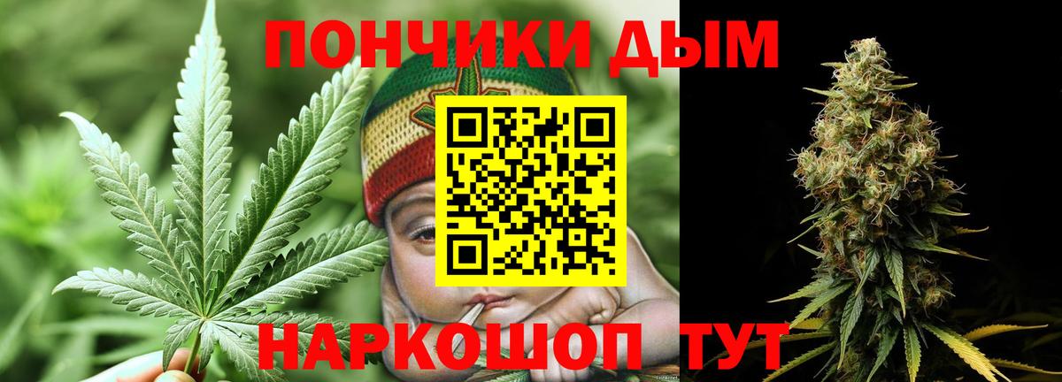 Каннабис планчик  Каннабис гибрид  Заводоуковск  МАРИХУАНА Ganja  Вход с VPN 